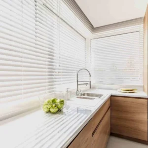 TJX1 Venetian Blind